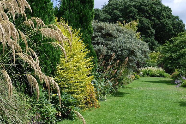 Picton Castle Garden, July