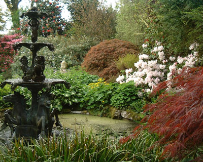 Pine Lodge Gardens in Spring