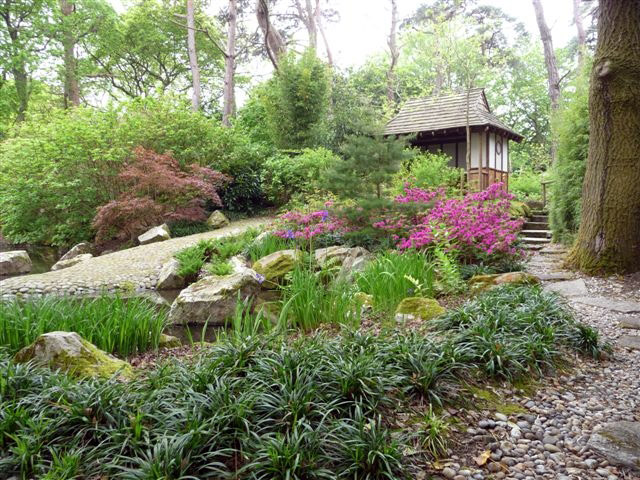 Japanese Garden, Pine Lodge Gardens