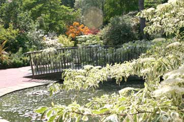 Pinelodge bridge1
