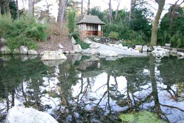 Pinelodge jap1