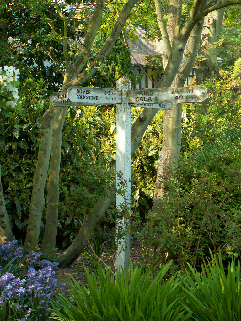 Pines Garden Tamsyn