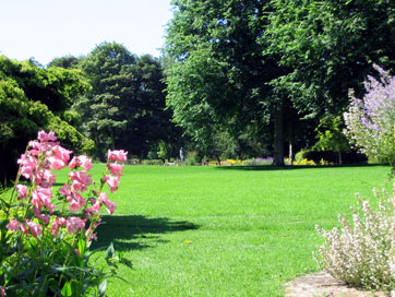 Pines garden kent