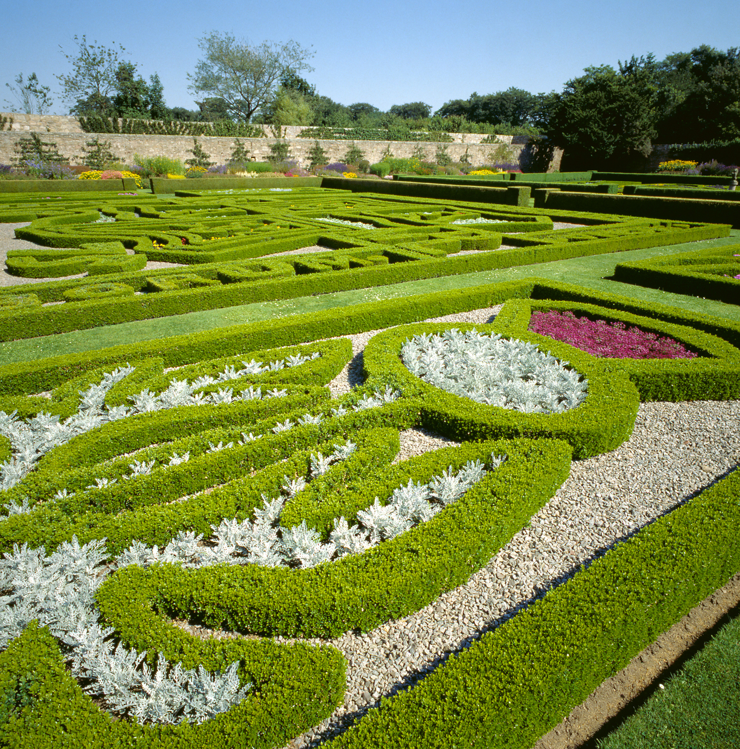 Pitmedden Garden NTS