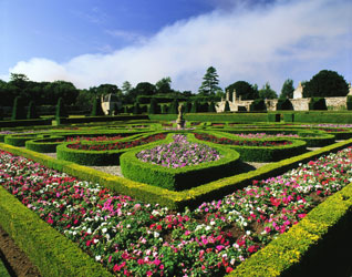 Pitmedden garden nts