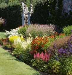 Pitmeddengarden ntscotland