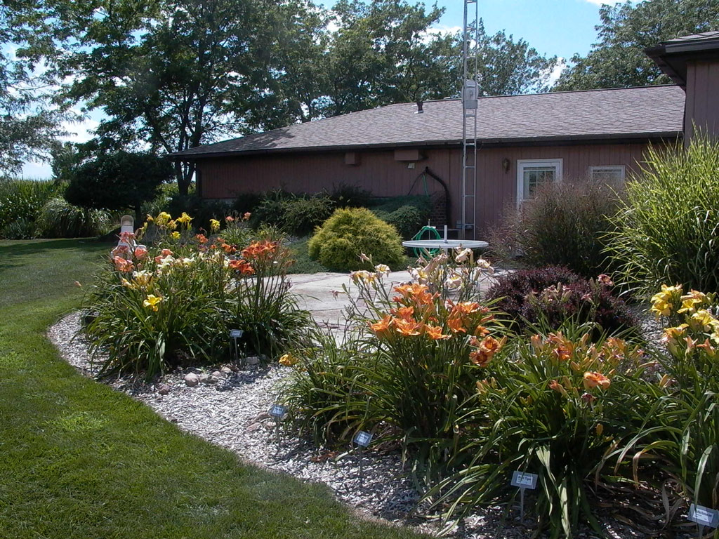 Back Patio