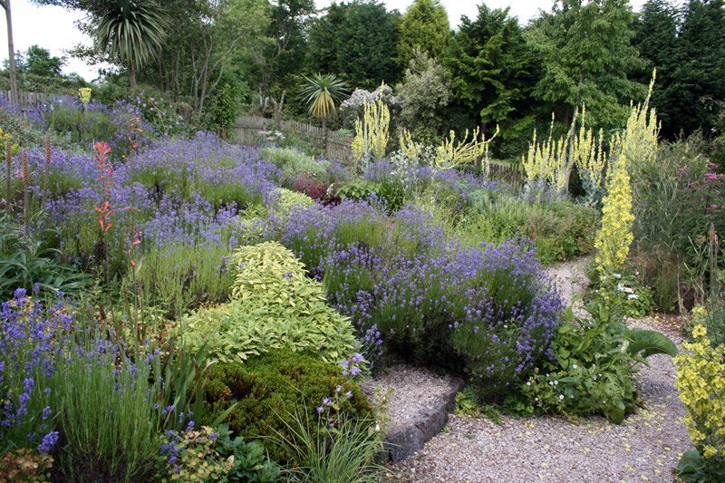 Plant World Gardens, Devon