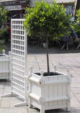 White planter and trellis