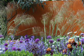 Naturalistic planting design