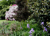 Gardenesque planting design