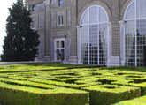 Renaissance planting design
