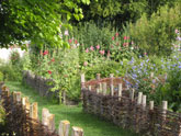 Medieval planting design