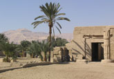 Egyptian planting design