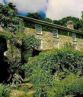 Plas3