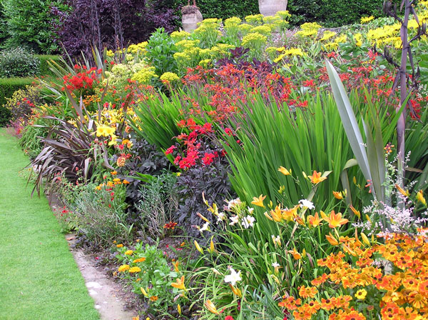 Herbaceous Border, Plas Newydd Garden
