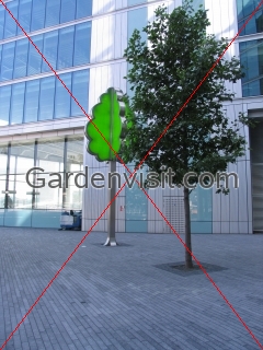 Plastic Tree