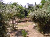 Plato's Academy in Athens