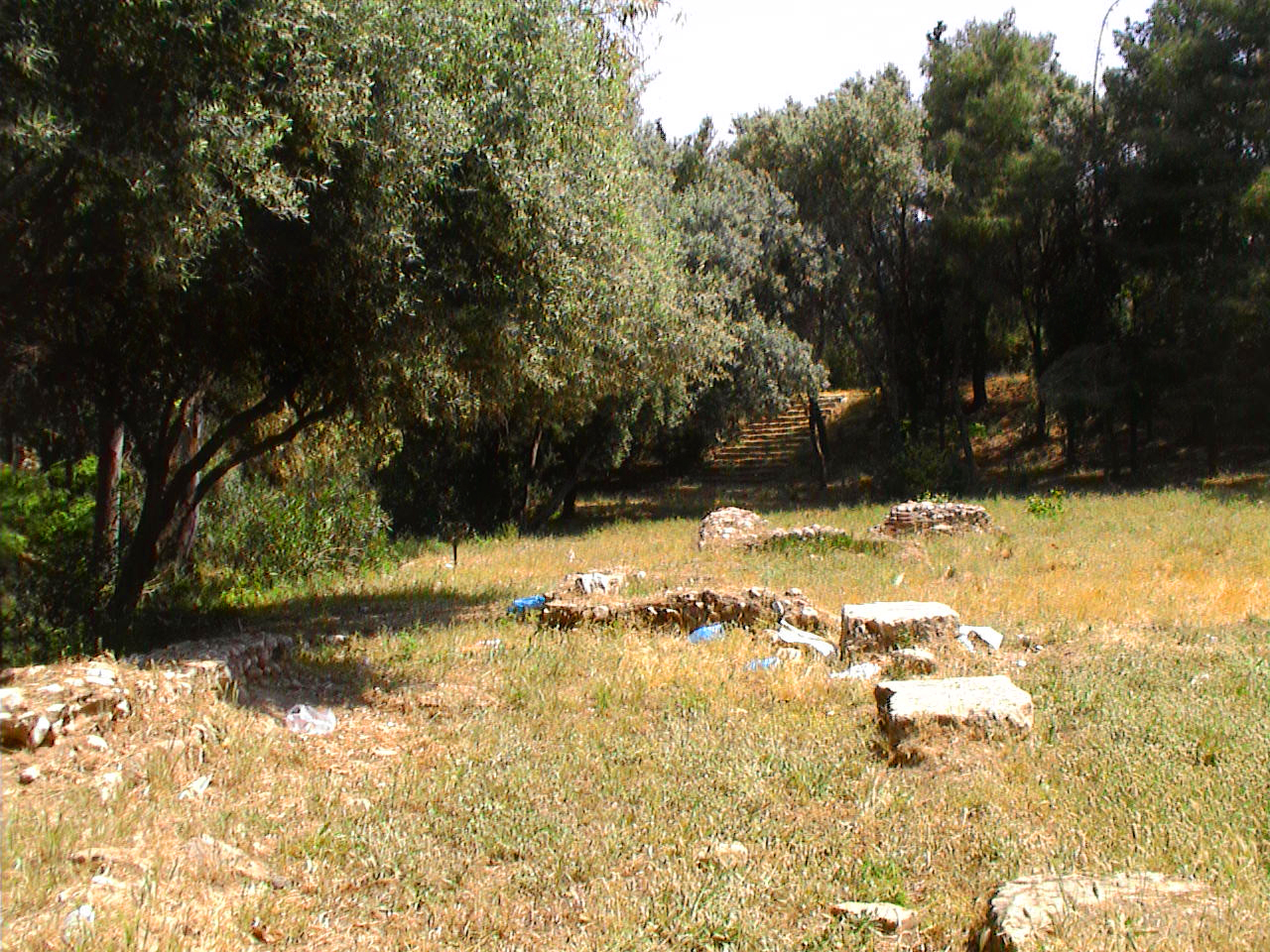 Plato Academy, Athens Gardenvisit.com