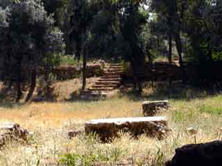 Plato academy garden