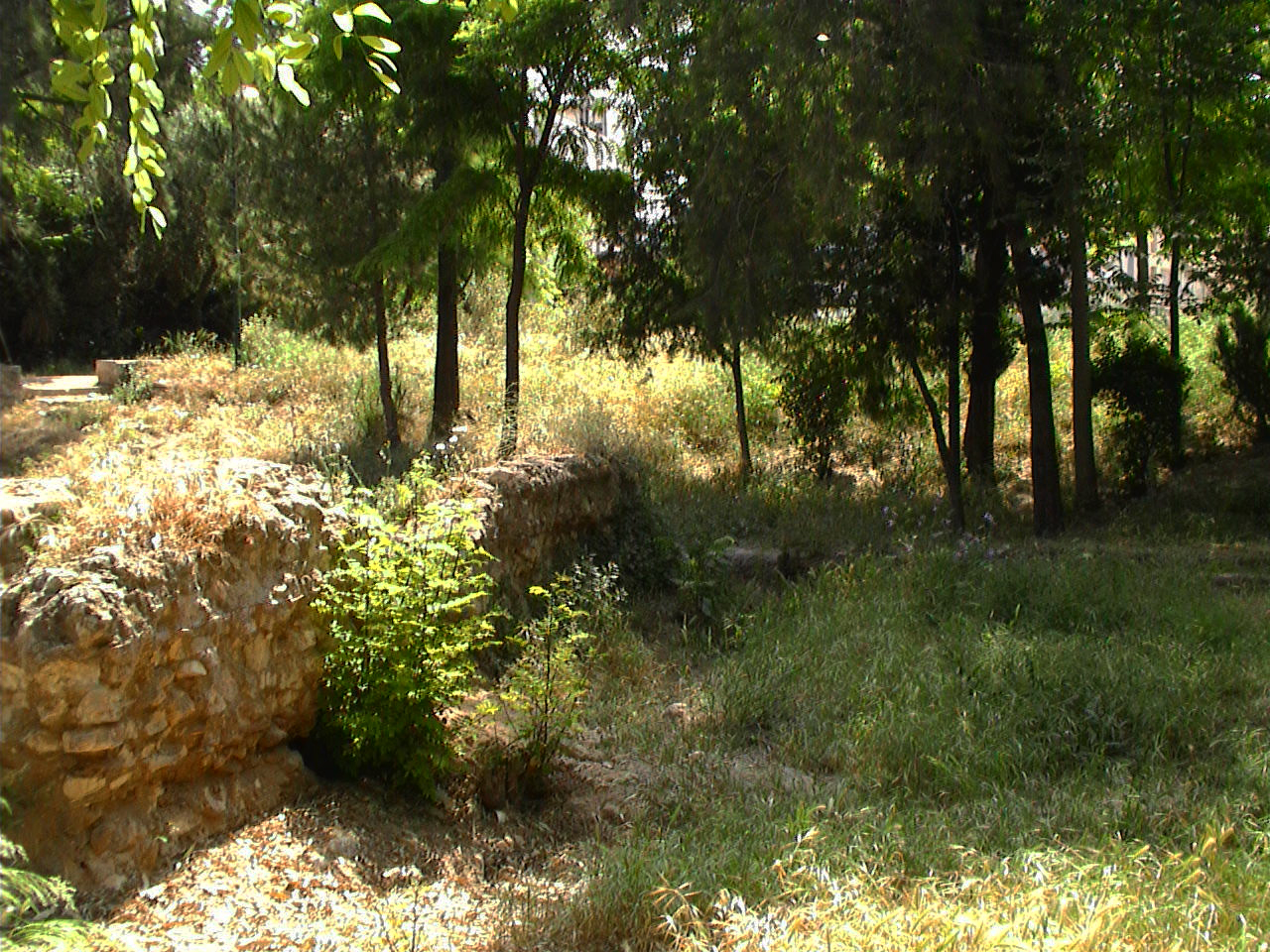 Plato's Academy Grove Gardenvisit.com