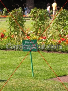 Please Keep off the Grass