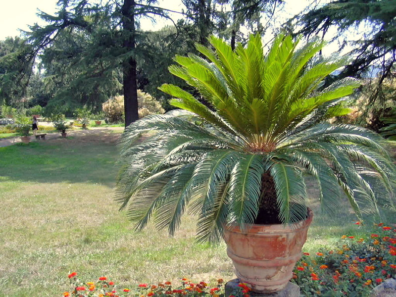 Poggio a Caiano, Italy
