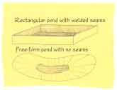 Rectangular and free-form pond shapes