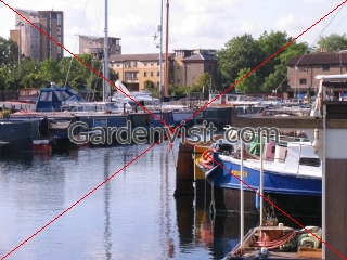 Poplar Dock