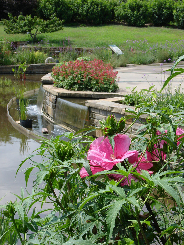 Fountain, Powell Gardens