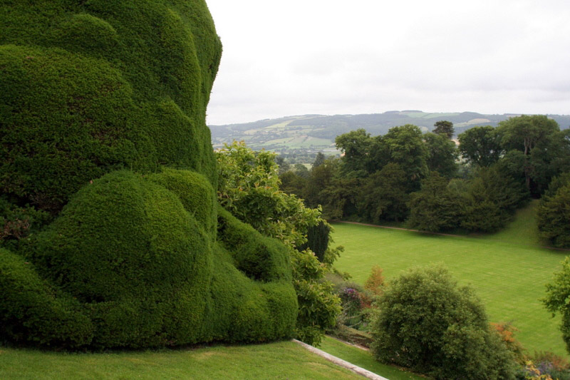 Powis Castle Garden, 2008