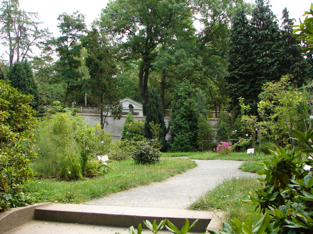 Prague Botanical Garden (Charles University) Craig Elliot