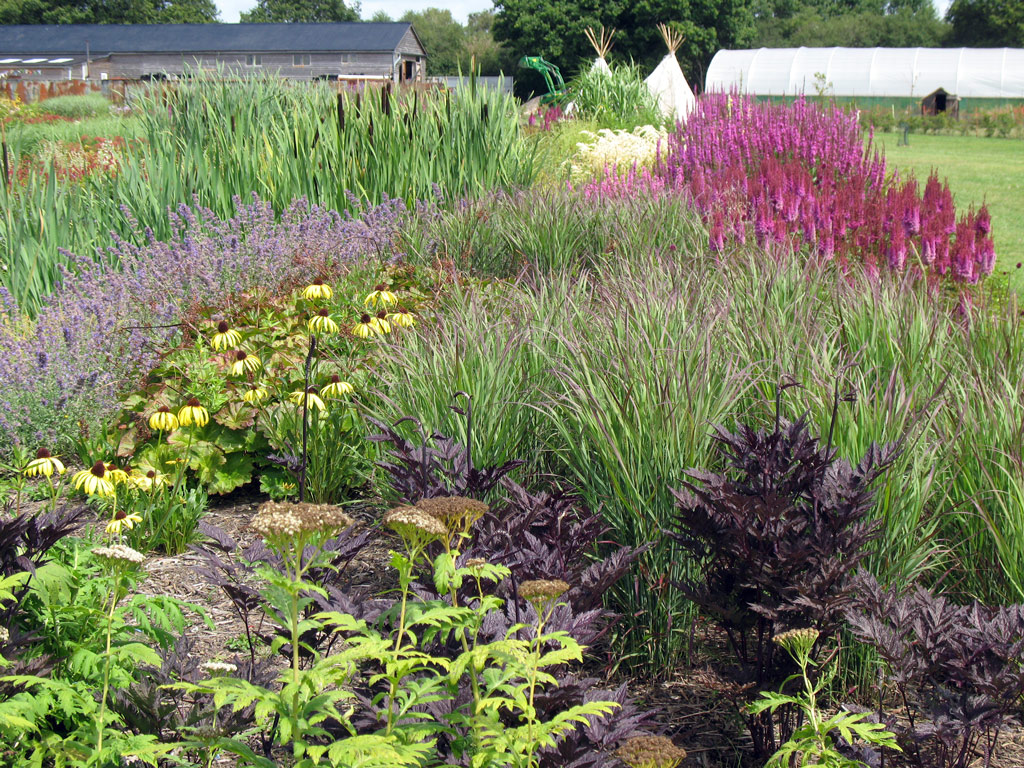 Sussex Prairie Garden, Henfield
