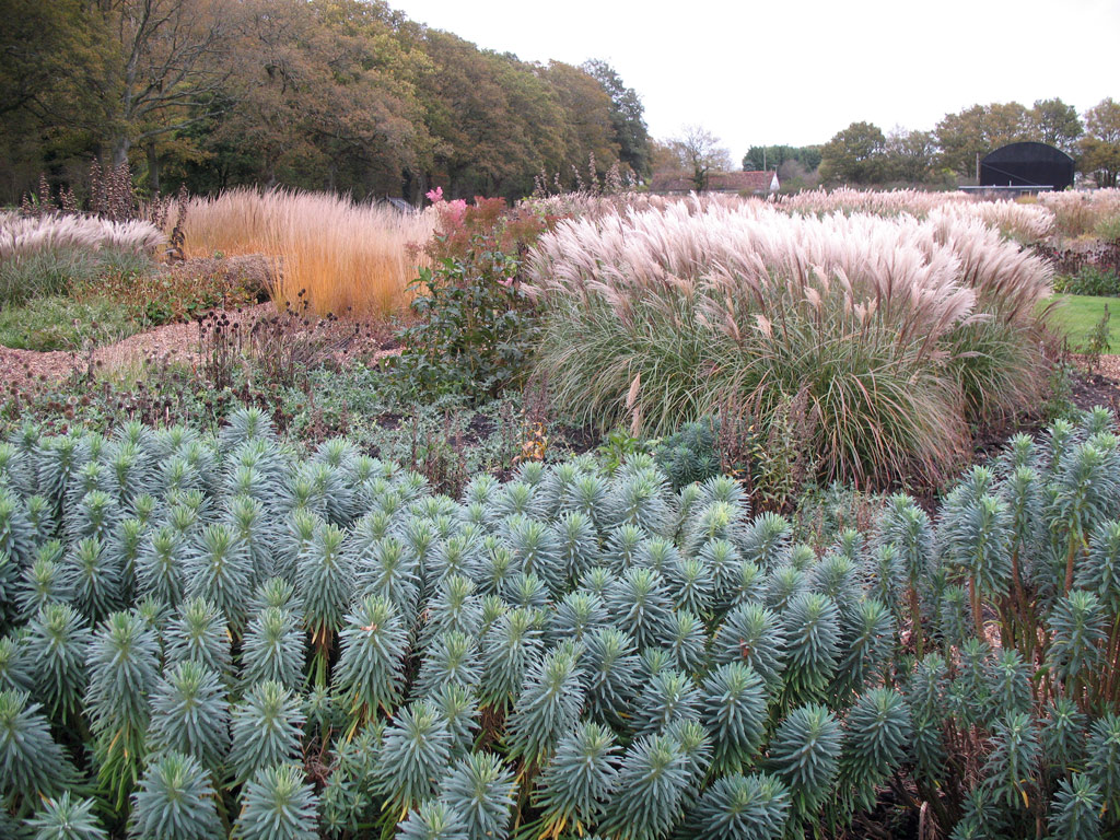 Sussex Prairie Garden, November