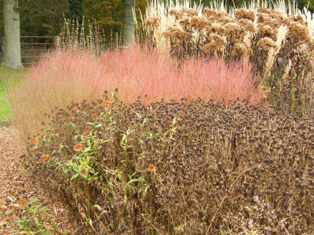 Prairie Garden, Sussex