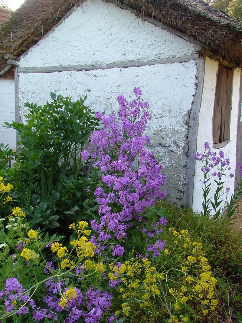 Nea Hut, Prebendal Manor Garden