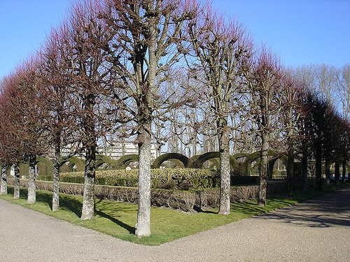 Jardin des Pres Fichaux, Bourges