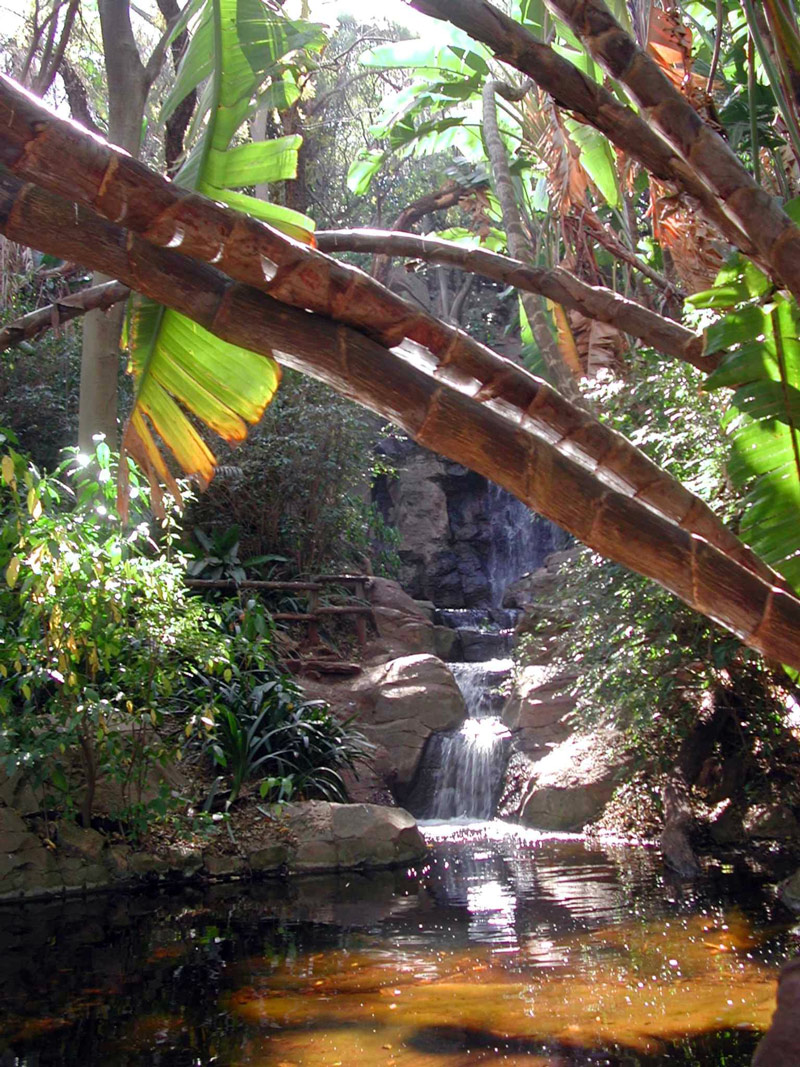 Pretoria National Botanic Garden, Gauteng