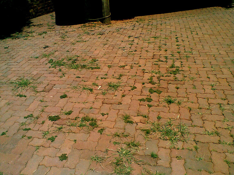Pretoria National Botanic Garden, Gauteng