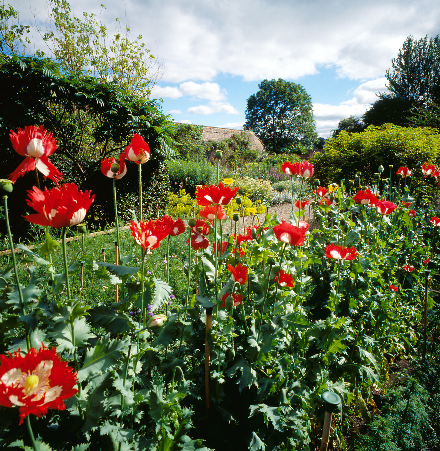 Priorwood Garden and Dried Flower Shop NTS