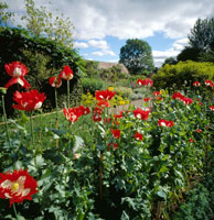 Priorwood garden nts