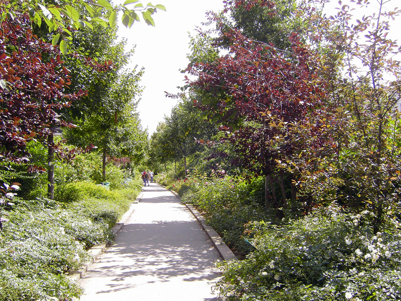 Promenade Plantee, August