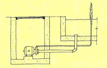 Dry pump