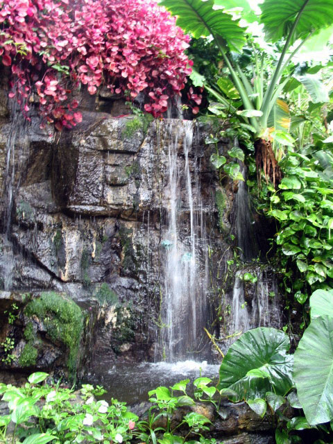 Waterfall, Quad City Garden