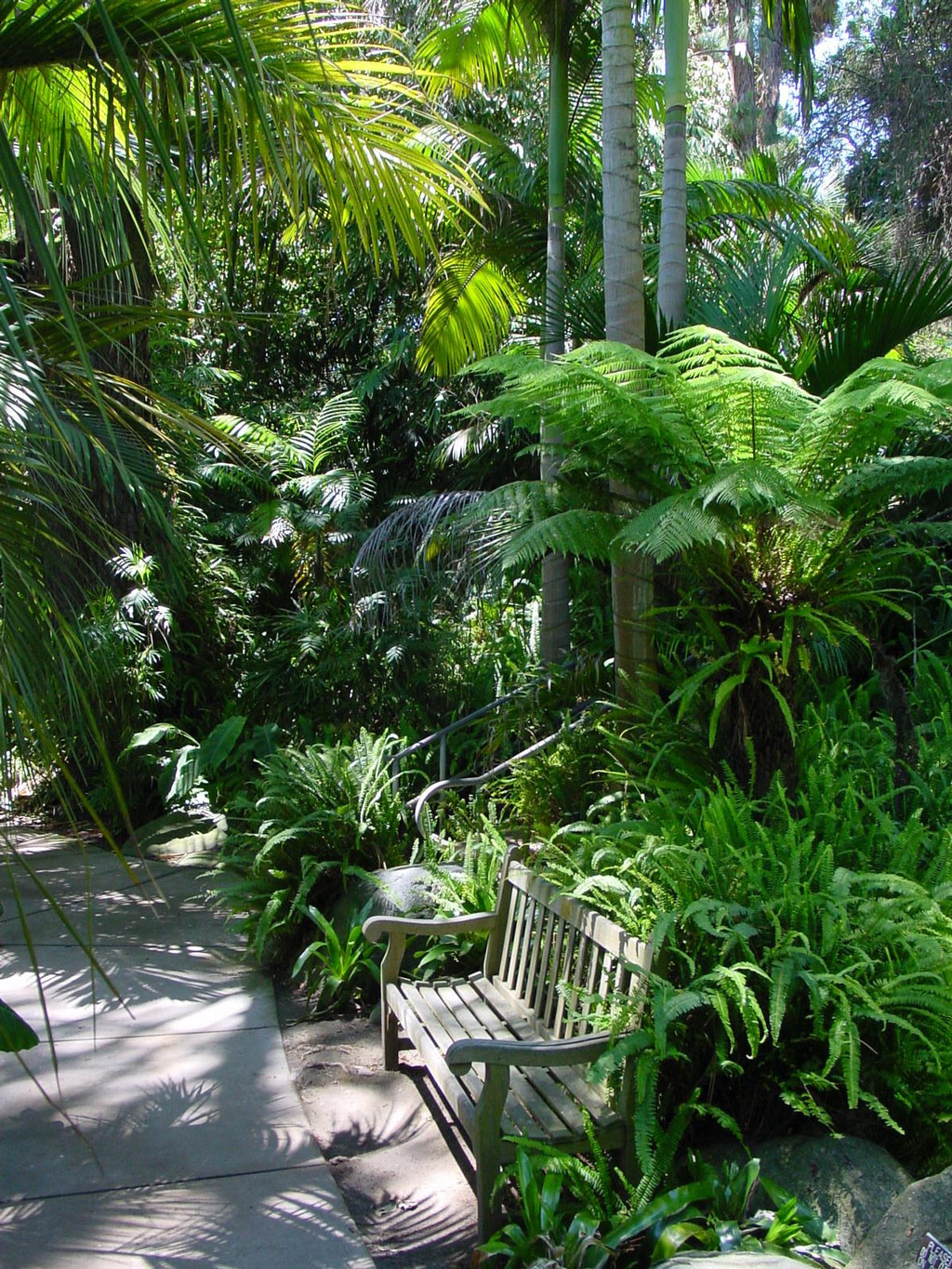 Bench, Quail Botanical Garden
