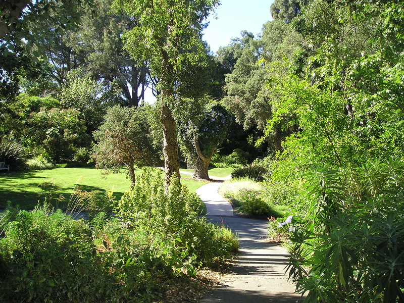 Quail Botanical Garden, California