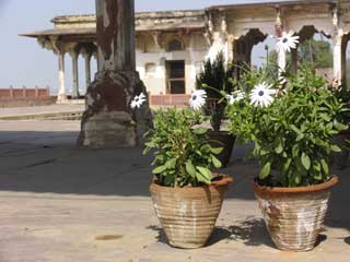 Ram bagh agra1