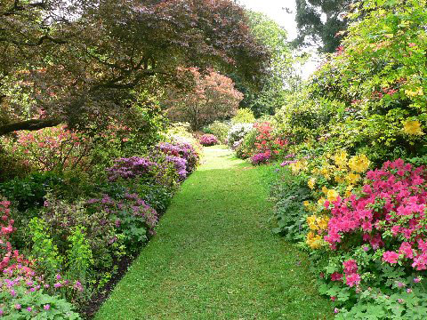 Ramster Garden, 2009