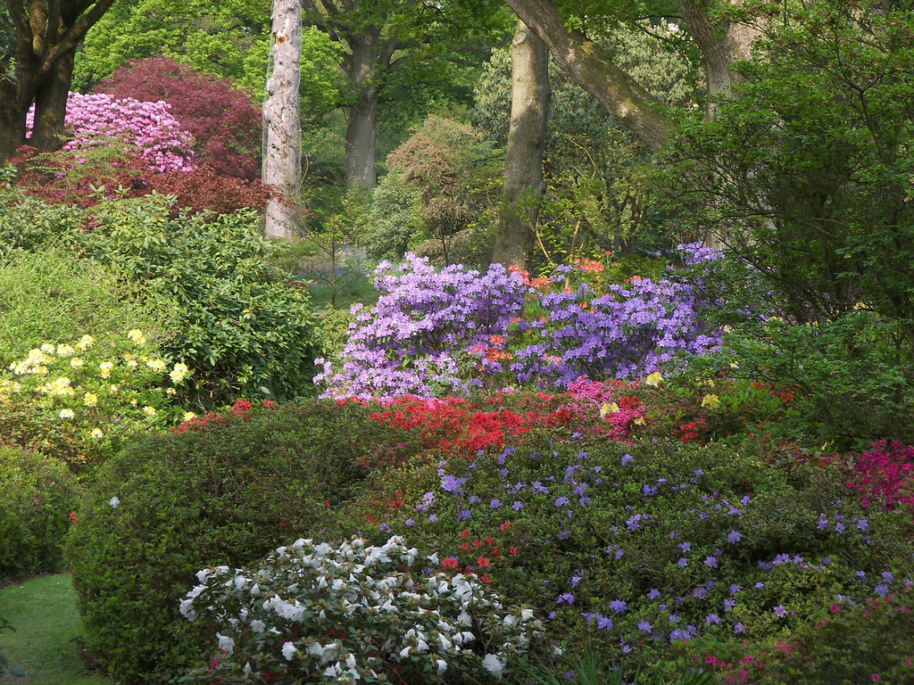Ramster Garden Laurie Redstone