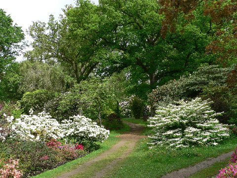 Ramster Garden, May
